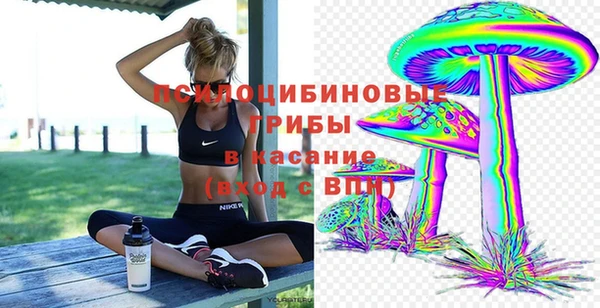 apvp Арсеньев