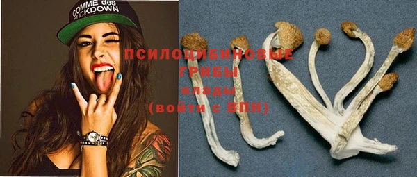 MDMA Premium VHQ Армянск