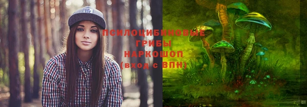 apvp Арсеньев